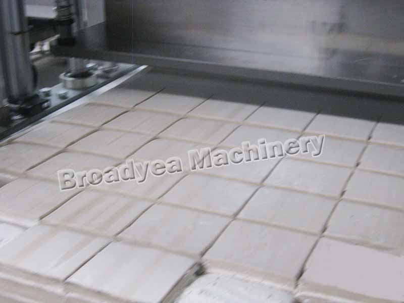 Wonton wrapper production line.jpg